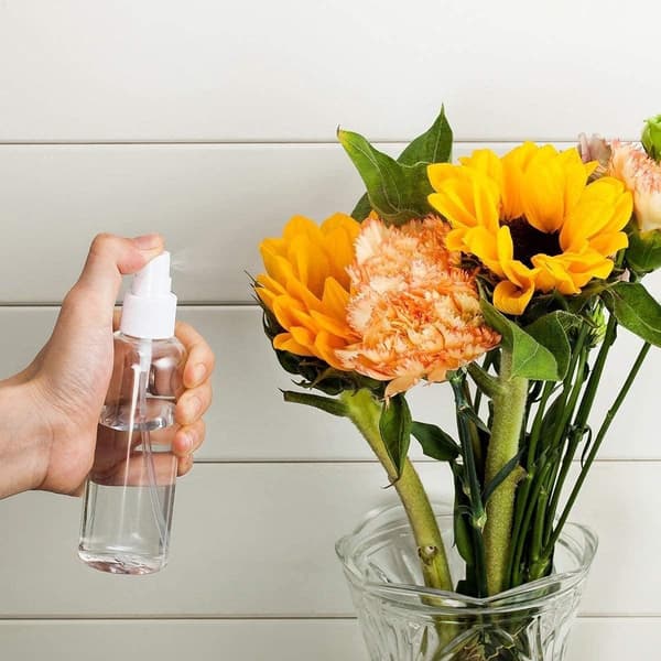 Resesprayflaskor Set, Påfyllningsbara PET Finfördelade Tomma Flaskor för Parfym och Vätskor, Transparent 10-pack 80ml 100ml