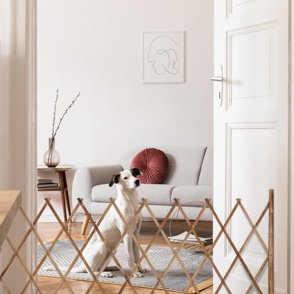 Expandable Wooden Trellis_NN