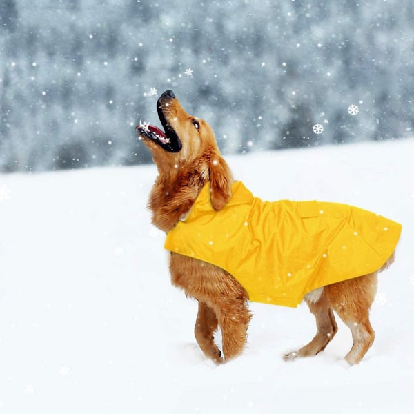 Regnrock för hund med huva och hål i halsband och säkra reflekterande ränder 6xl