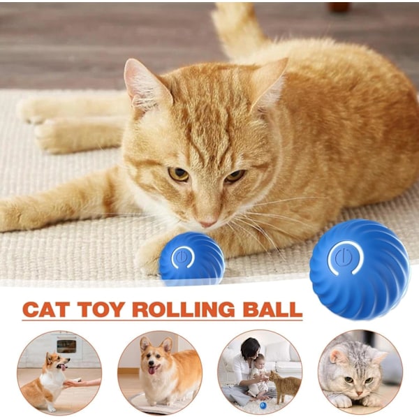Självrullande boll för hund, smart självrullande boll med 2 lägen lång batteritid, ny elektrisk intelligent retboll för katt med utbytbar skal bule