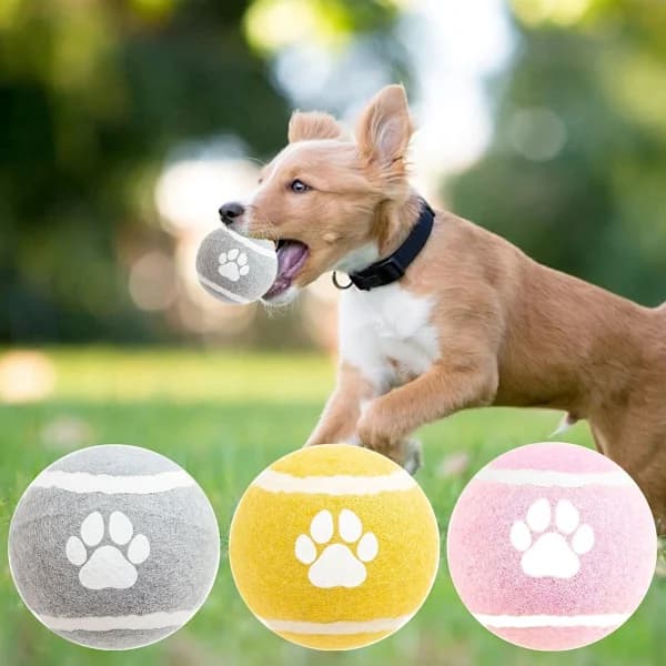 Hundleksaker - 3-pack - Hundpussel - Interaktiv - Tåliga elastiska filthundbollar för apportering - Interaktiv hundleksak