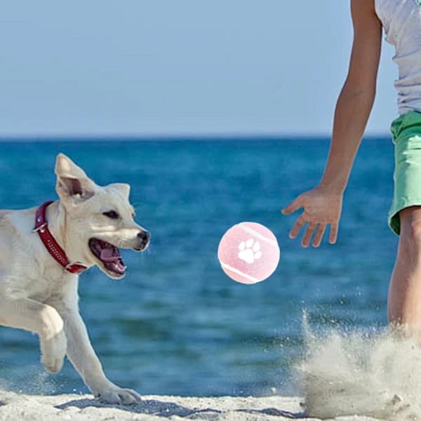 Hundleksaker - 3-pack - Hundpussel - Interaktiv - Tåliga elastiska filthundbollar för apportering - Interaktiv hundleksak