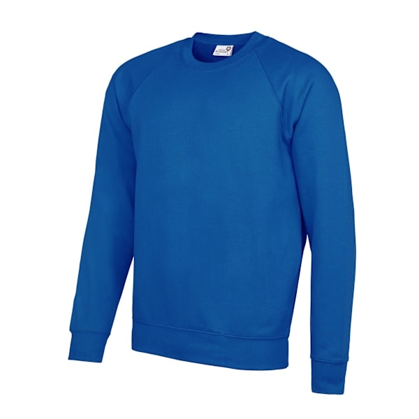 AWDis Academy Herr Crew Neck Raglan Sweatshirt S Royal Blue Royal Blue S