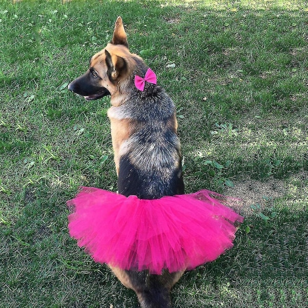 Pet Hund Katt Kostym Tutu Outfit Animal Halloween Party Tyll kjol rose red