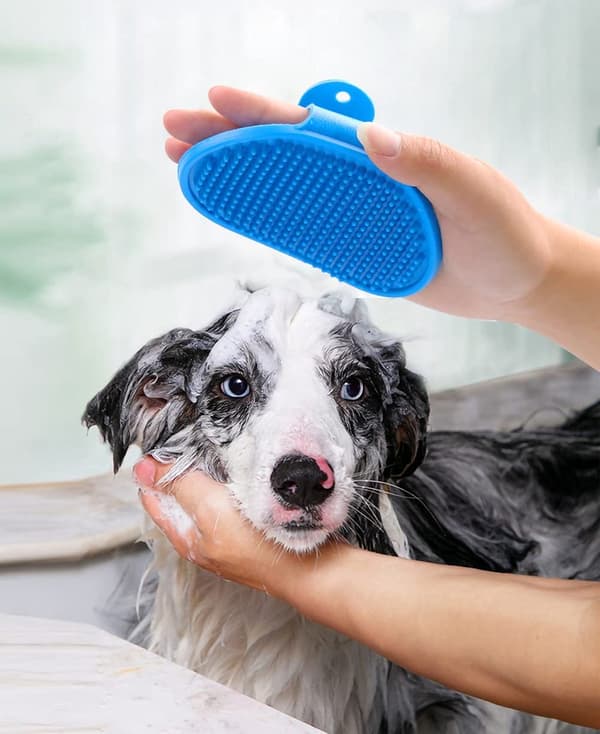 Kæledyrsbørste Hårfjerner til Katte Hunde Massage Gummikamb Justerbart Greb Blå Grøn