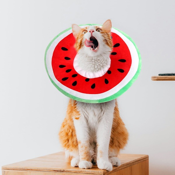 Justerbar Kattunge Krage - Bedårande Återhämtningskrage för Katt, Elizabethanska Kragar för Kattunge Valp Efter Operation/NC/ Watermelon Large (fits 3-6.5kg)