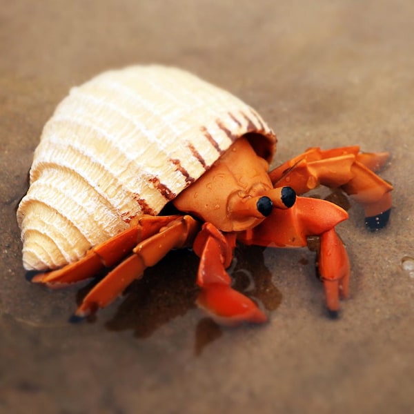 Simulering Eremitkrabba Marint djur Pvc-modell Skrivbordsdekor Utbildning Barnleksak Green Swimming Crab