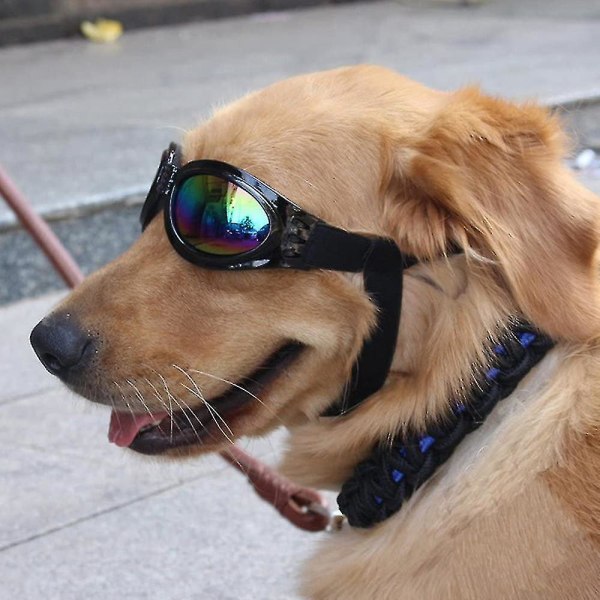 Pet Solglasögon med rem, hund Uv-glasögon med hakrem Justerbar
