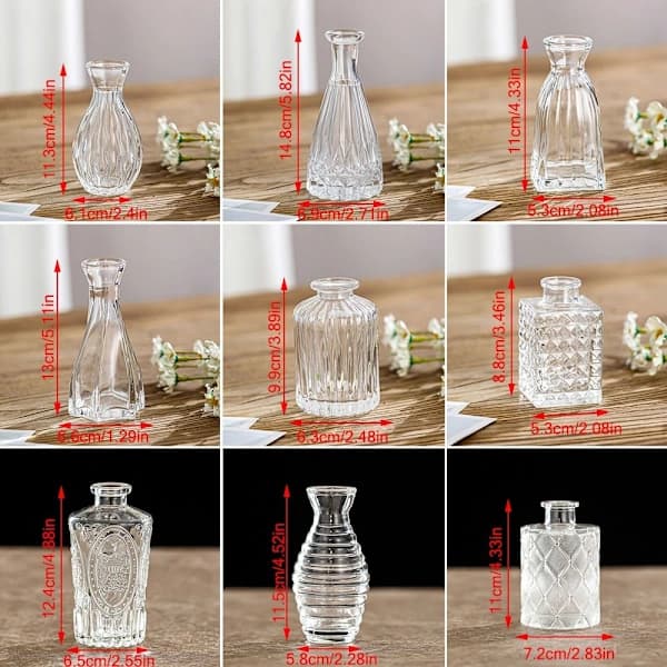 Glasvas Hydroponisk Växtvas 01 01 01