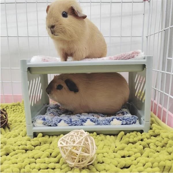Køjeseng til Små Kæledyr - Hamsterlegetøj BLÅ Blue