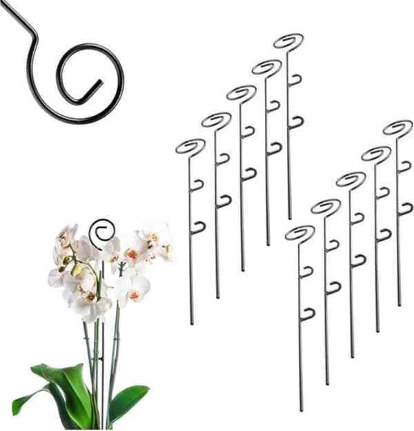 Støttestaver for planter - 10 stk - 50 cm høye -
