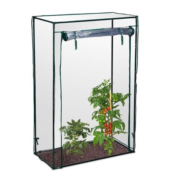 Växthus för tomatodling
