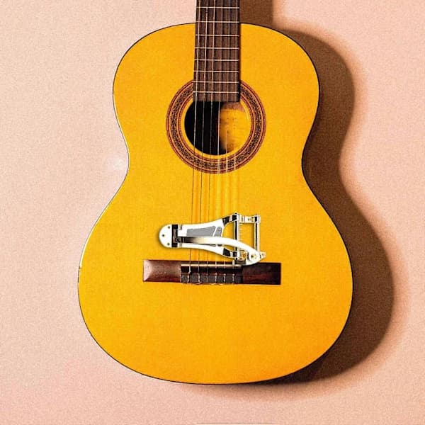 Vibrato-bro & Tailpiece B7 Jazzgitar for ES355 Gull