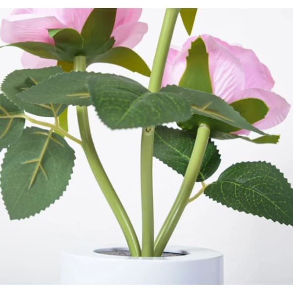 LED Rose Lampe Skrivebordslampe ROSA rosa