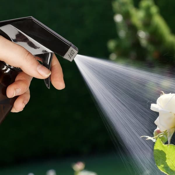 Sprayflaska Glas 230 ml Set med 4_NN