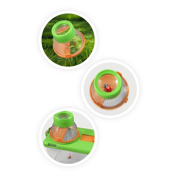 Buki Terrarium_NN