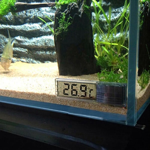 Digital akvarietermometer fisk reptil tank temperatur HET Z silver One-size