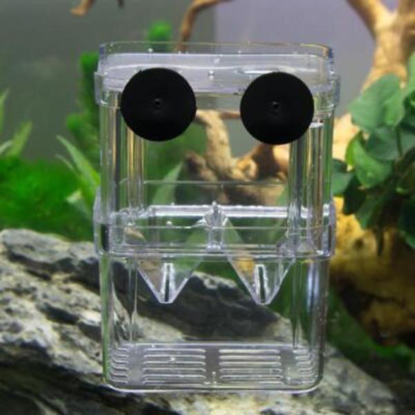 1x Fiskodlingslåda Räkodling Akvarium Inkubator UK Akvarietillbehör UK ST TransparentB L