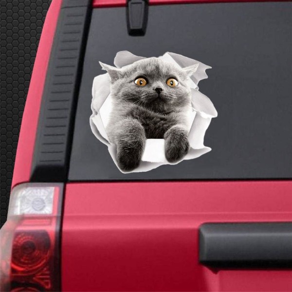 Creative Animal Cat Car Bildekal 3D Wall Stickers E 1pcs