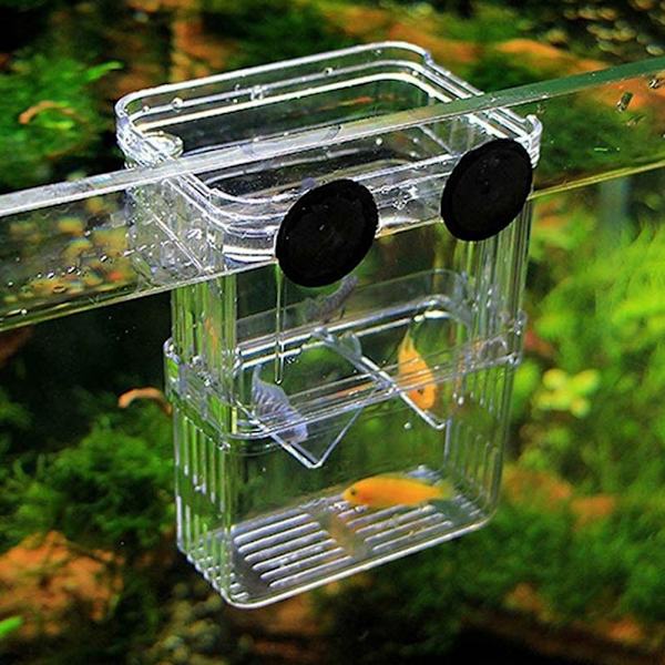 1x Fiskodlingslåda Räkodling Akvarium Inkubator UK Akvarietillbehör UK ST TransparentB L