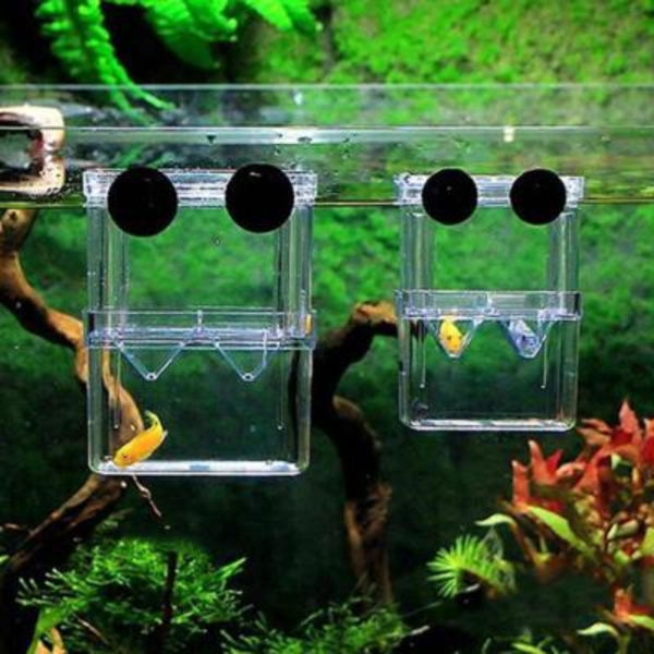 1x Fiskodlingslåda Räkodling Akvarium Inkubator UK Akvarietillbehör UK ST TransparentB L
