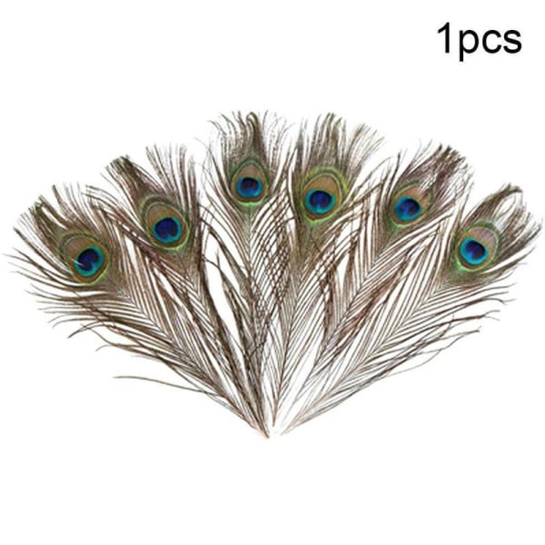 Naturliga långa påfågelfjädrar 10-12 tum långa, Pre-Steame Multi-colorA One-size 20pcs