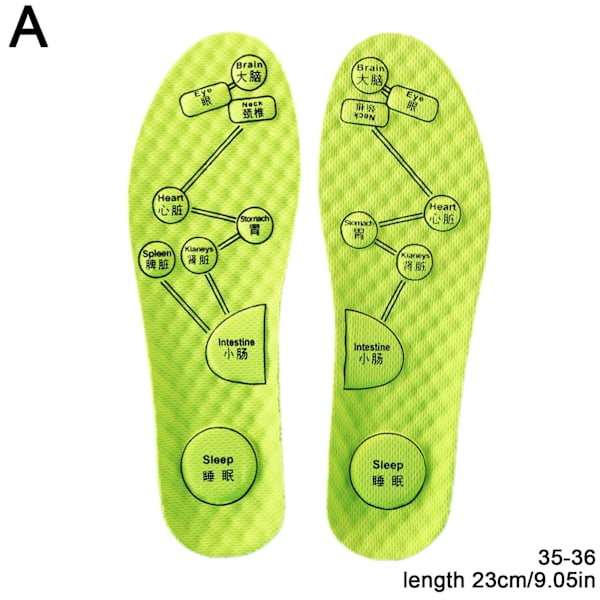 Akupressurmassage Insoles för män/kvinnor Skoplattor Fot andningsbar ört 2023 Green 35