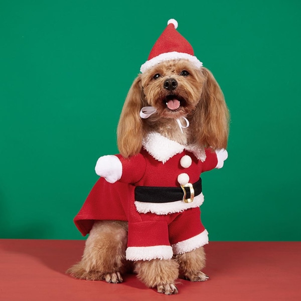 Julhundsdräkt Jultomte Husdjurskläder Jultomtehund Cosplay redB M