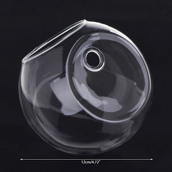 Glasvas Väggmonterad Hydroponisk Terrarium Fisktankar Krukväxt Blomkruka