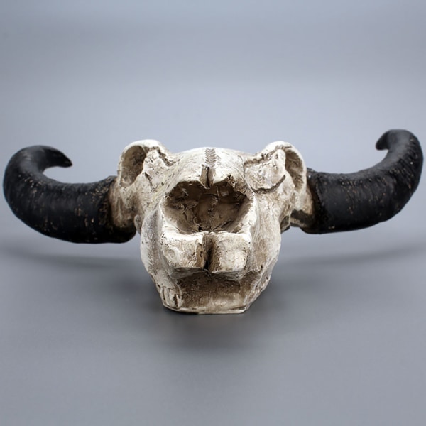 Animal Long Horn Cow Skull Vägghängande för kreativa Halloween konsthantverk Orname