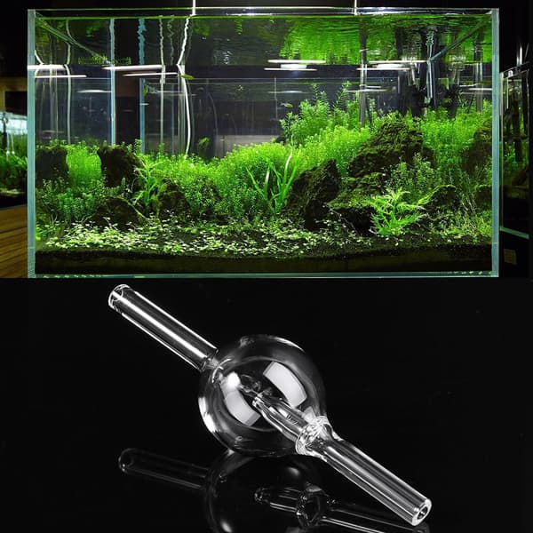 Glass CO2-diffuser Akvarium Tanker Bobleteller Fisketank Tilbehør