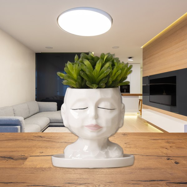 Ansikte för huvud Design suckulenter växtkruka med dräneringshål inomhus utomhusplan
