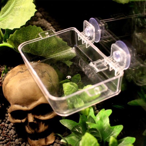 Reptilmatare Worm Levande foderbehållare Vattenskål med sugkoppar Ödla Terrarium Tillbehör för Gecko for Frog