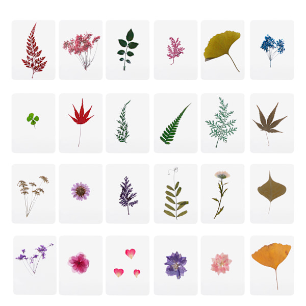 Blandede Pressede Blomsterblader Planteprøver Fyllstoffer Naturlige Tørkede Blader for DIY Epoksyharpiks Smykkefremstilling Scrapbooking