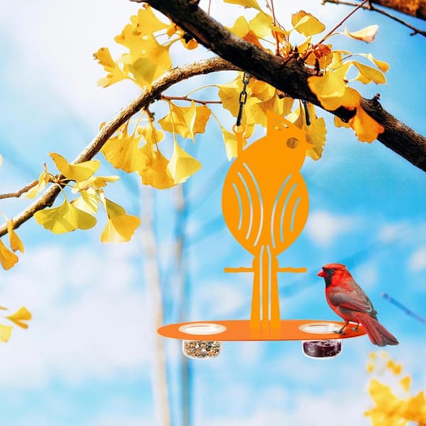 Oriole Form Fuglefoder Dekorative Madskål Til Baghave Terrasser Fugl