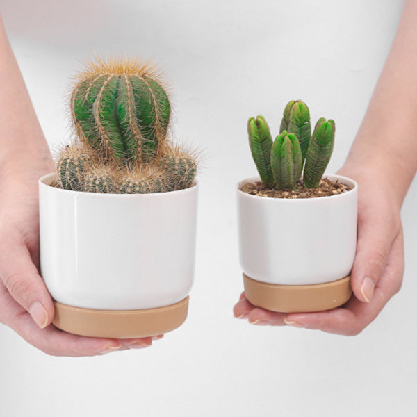 Plastimitation Keramiska suckulenta växtkrukor Blomkruka-stora/små växtkrukor för kaktus högstyrka växtkrukor L