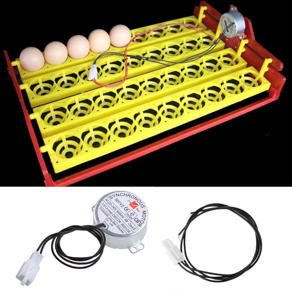 Egginkubator Snu-motor AC220V Gård Kylling Voksende Synkron Oppgradert