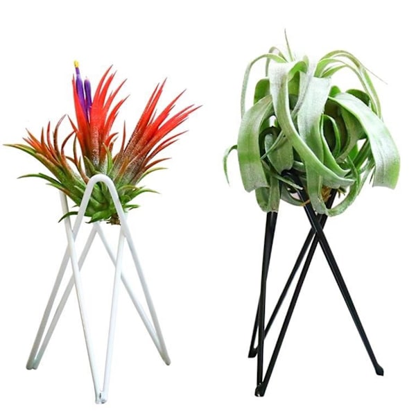 Luftväxthållare Metall Blomkrukställ Geometriskt järn Tillandsia Display Art White