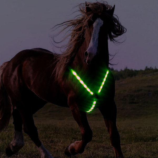 Horse Webbing Sele Krage Bröstskydd Nattsynligt Säkert LED-ljus Bröstbälte Blue