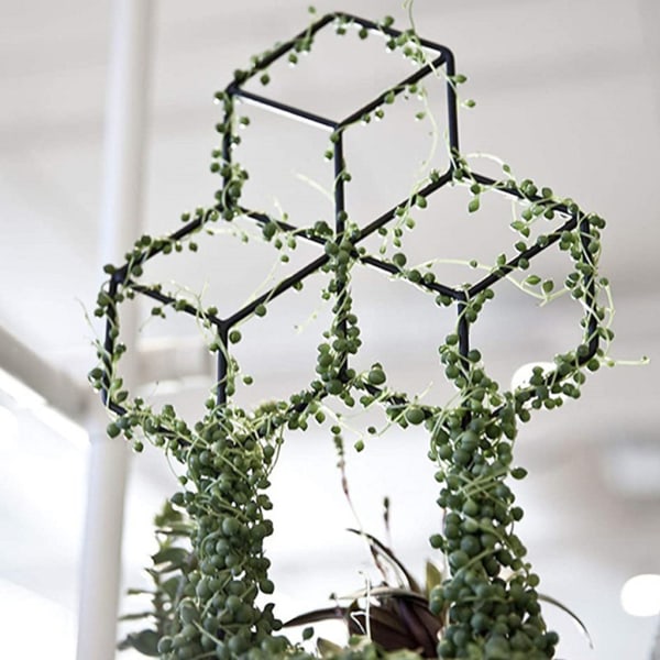 Tredimensionell 3 kubform Trädgårdsväxtstödram Krans Klätterväxter Spaljé Järn Buskhållare