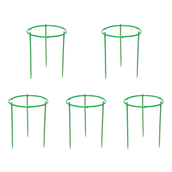 Robust tomatplantstöd för trädgårdar Trädgårdsplantstöd för grönsaker