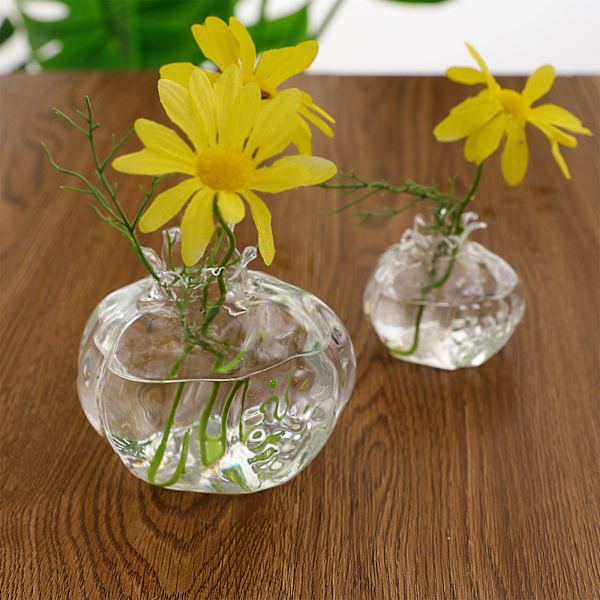 Granatäppleform Klart glas Vas Flaska Blomflaska Växter Flaska Glas Material för hemväxter Blomdekorationer S