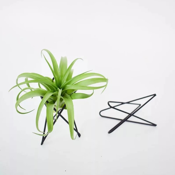 Luftväxthållare Metall Blomkrukställ Geometriskt järn Tillandsia Display Art Black