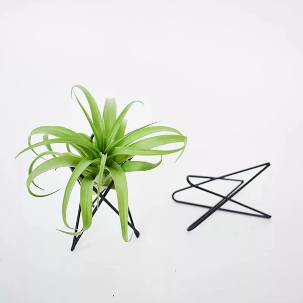 Luftväxthållare Metall Blomkrukställ Geometriskt järn Tillandsia Display Art White
