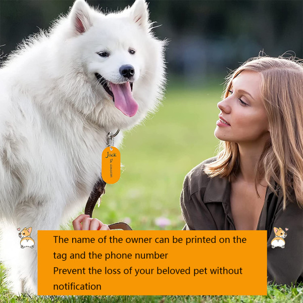31 st Vit sublimationsstämpeltagg Pet Tag Hänge Stämpling Metalletiketter för hund Nyckelring Taghänge
