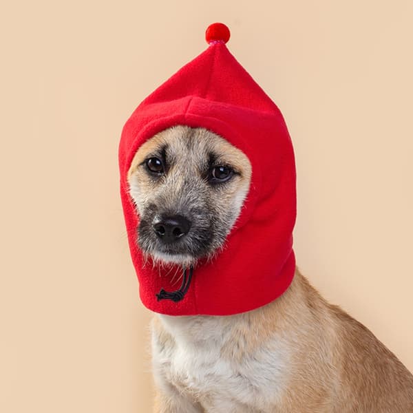 Julehat Stor Hundehue Blid Vinterbeskyttelse Til Følsom Hud Dyr Black S