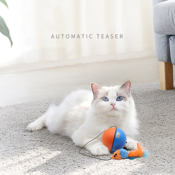 Automatisk rörlig boll Kattleksak Interaktiv kattbollleksak Kattunge Boll Katt rörlig leksak Robotkattungeleksak Kattskraparleksak
