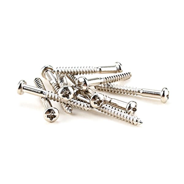 10 delar Gitarrskruvsats Elgitarr Bridge Monteringsskruvar, Halsplatta Installationsskruvar, Nickel