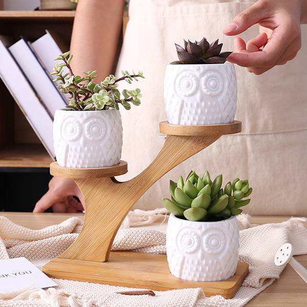 Söt Ugglakruka Suckulent Kaktuskruka Blomkruka Set med Bambu Hylla Inredning