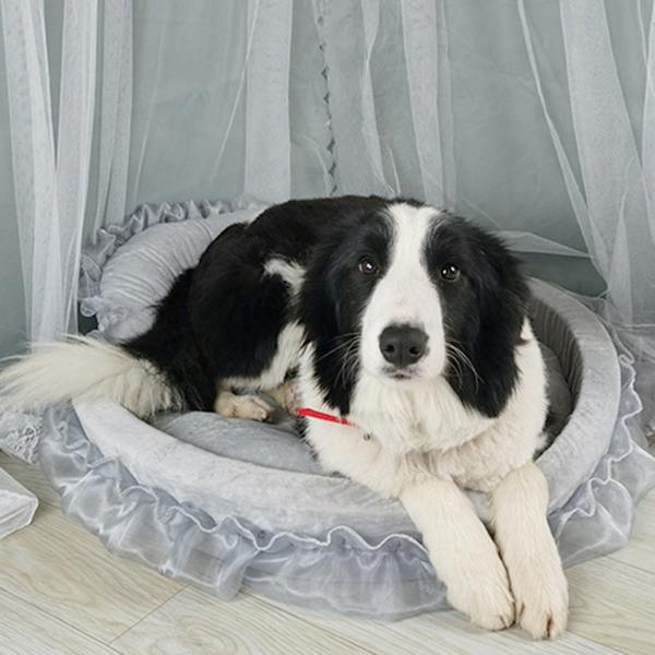 Princess Husdjurssäng med rosetter Rufsig spetsdesign Mjuk och vacker hundsoffa Avtagbar kudde Princess Nest Pink L
